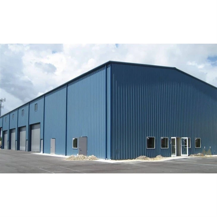 Steel Frame Multi Buildings